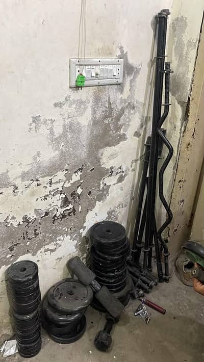 GYM OUT