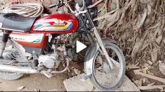 Rode princ  030-552-11086 cell nub