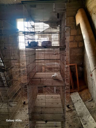 Bird Cage For Sale
