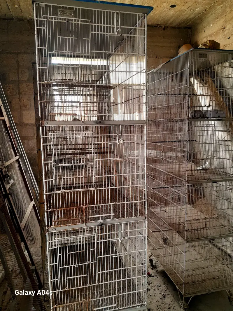 Bird Cage For Sale — photo 2