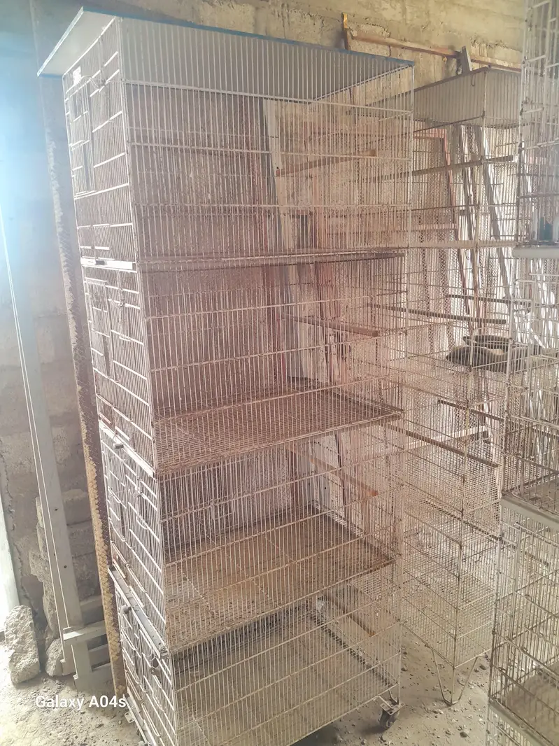 Bird Cage For Sale — photo 3