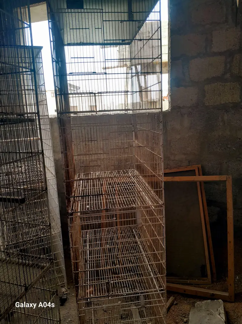 Bird Cage For Sale — photo 5