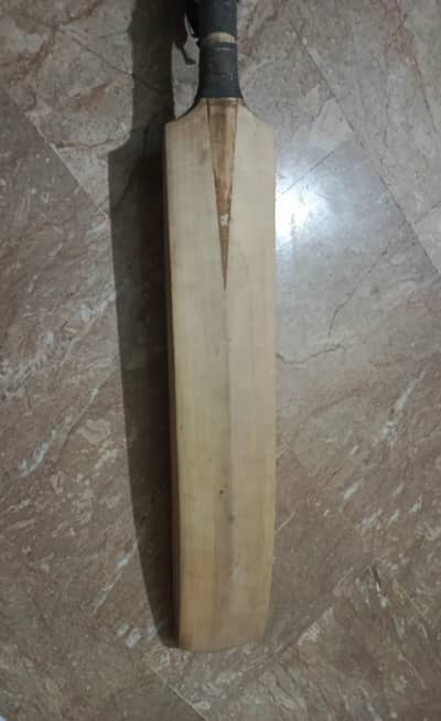 hard ball cricket bat good quality
