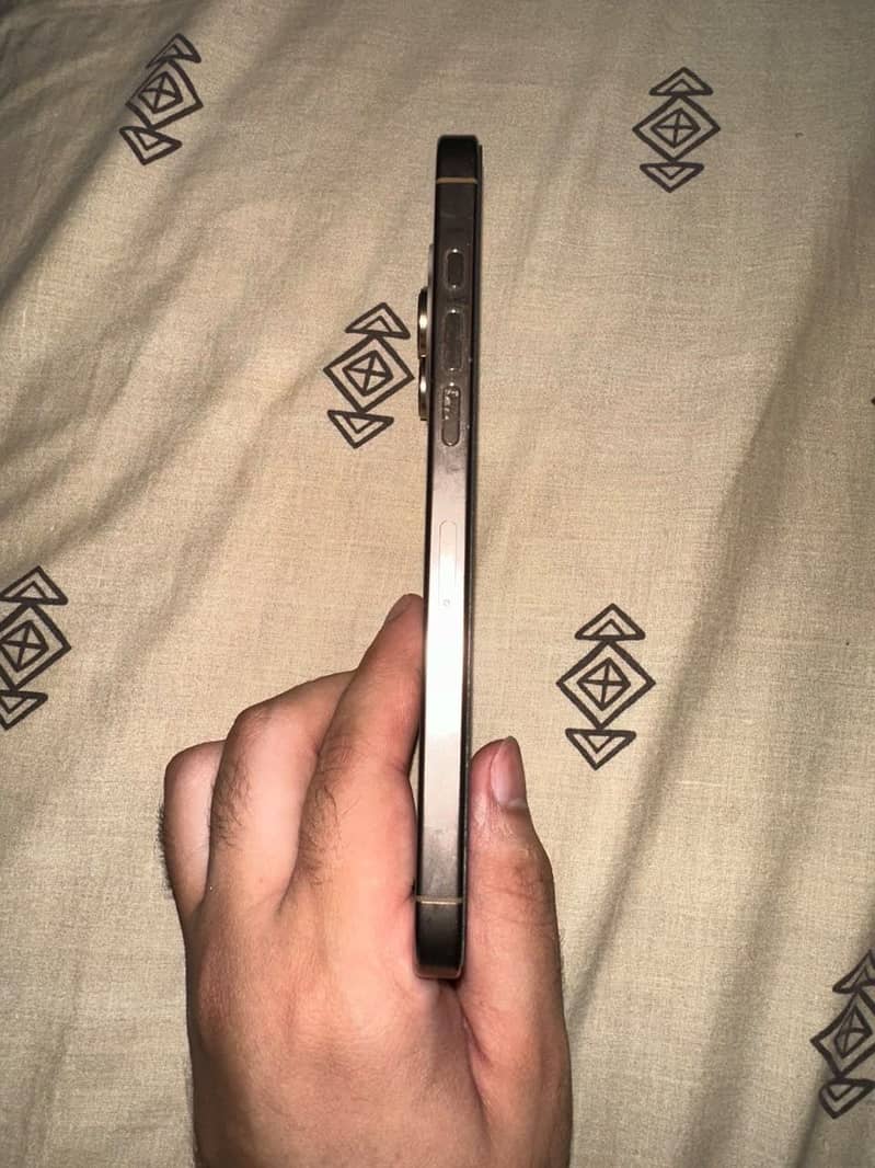 Apple iPhone 16 Pro Max 4