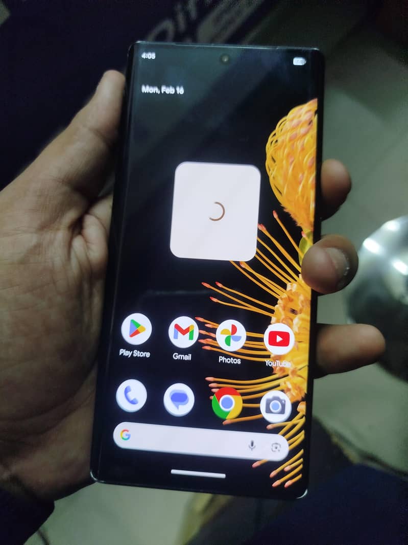 Google Pixel 6 Pro 1