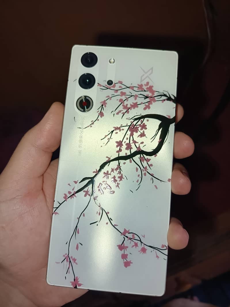Red magic 10 pro 0