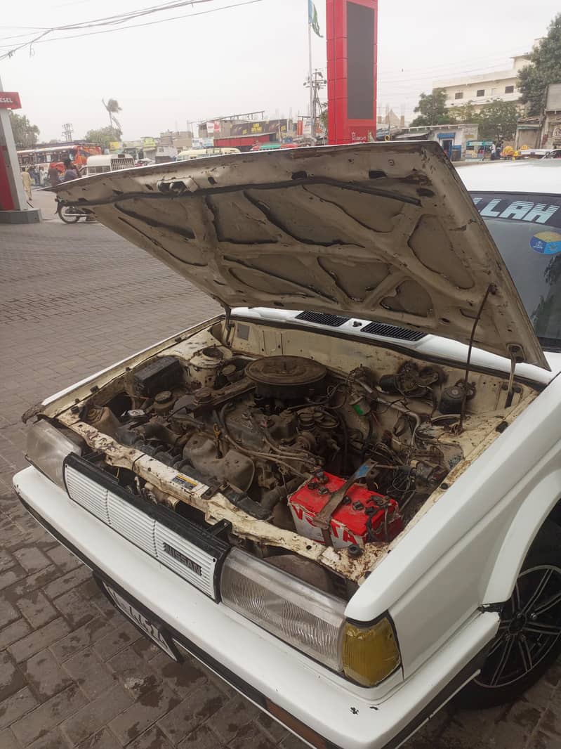 Nissan Sunny 1987(03123453127 - Cars - 1120314395