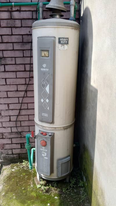 geyser for sale
