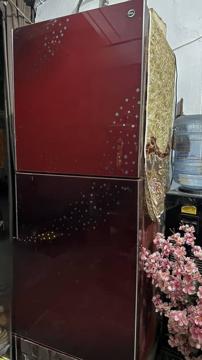 PEL Glass Door Refrigerator (Jumbo size)