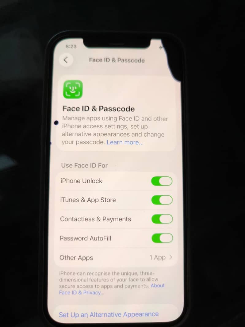 Apple iPhone 12 1