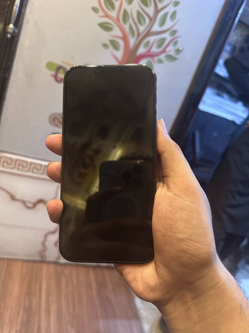 Apple iPhone 13 Pro Max 2
