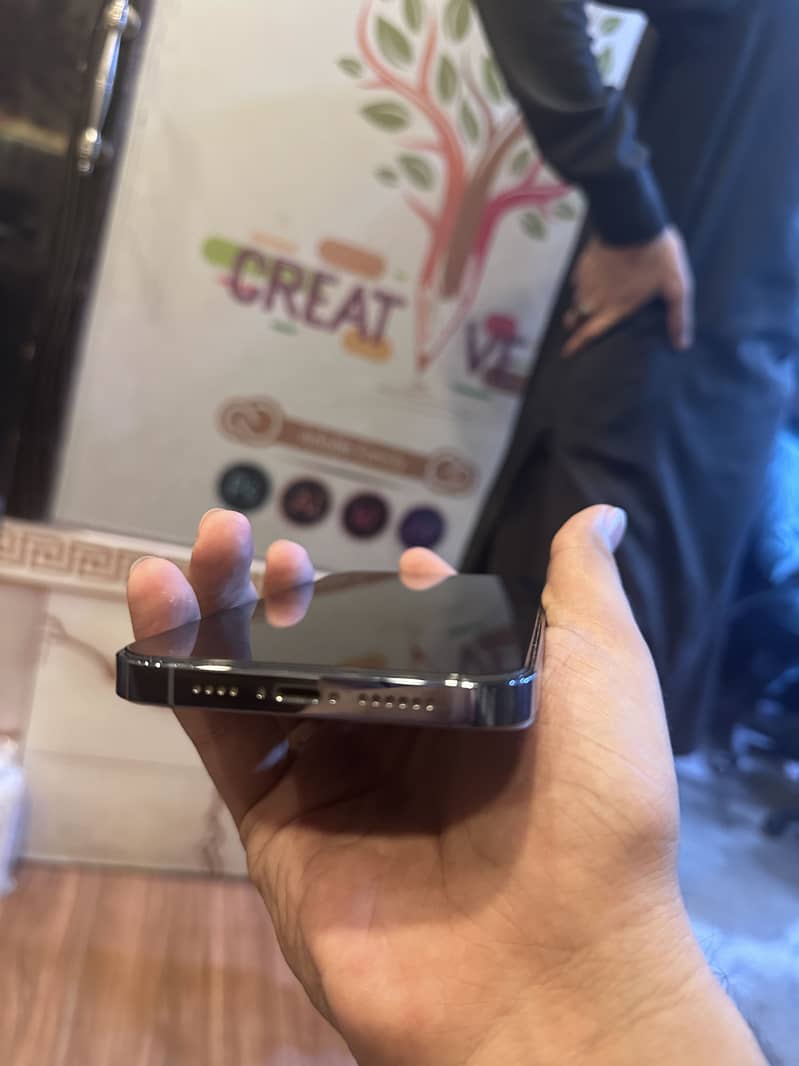 Apple iPhone 13 Pro Max 3