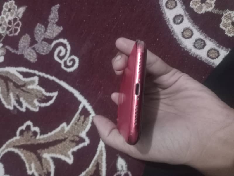 Apple iPhone 11 3