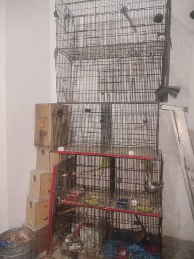 cages for sale