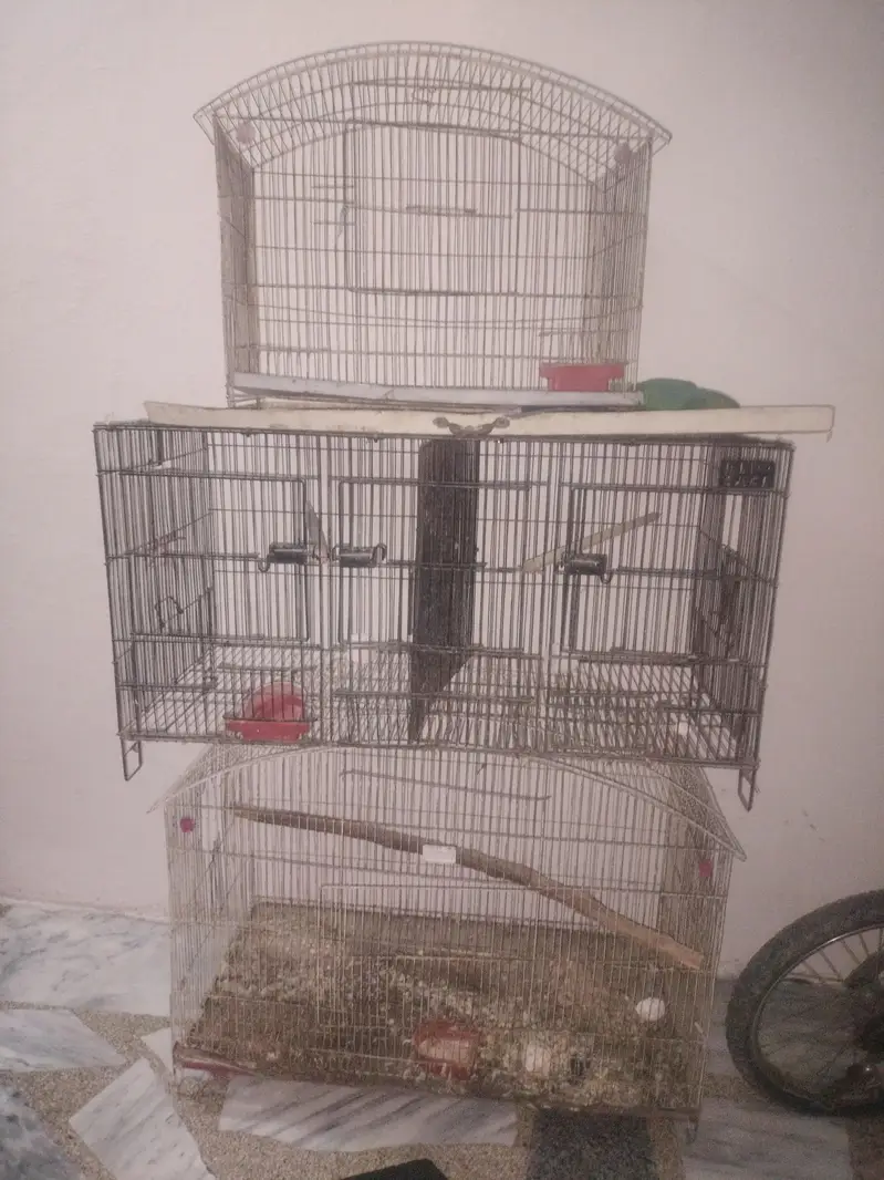 cages for sale — photo 2