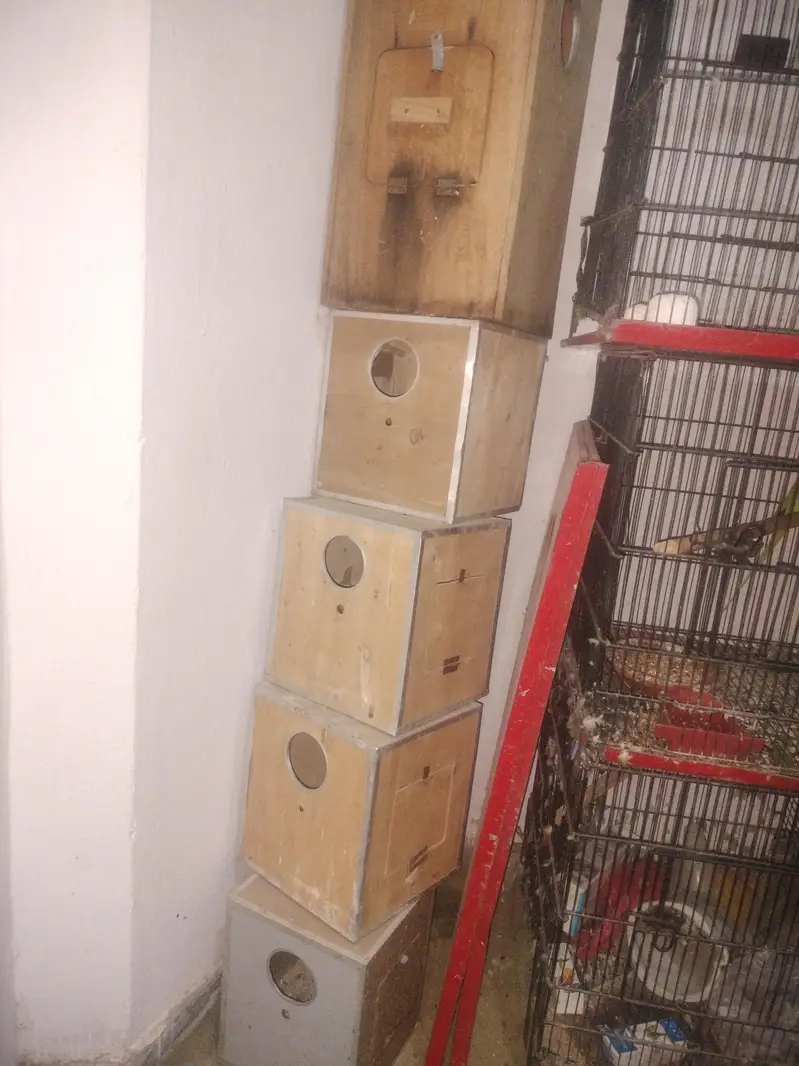cages for sale — photo 3