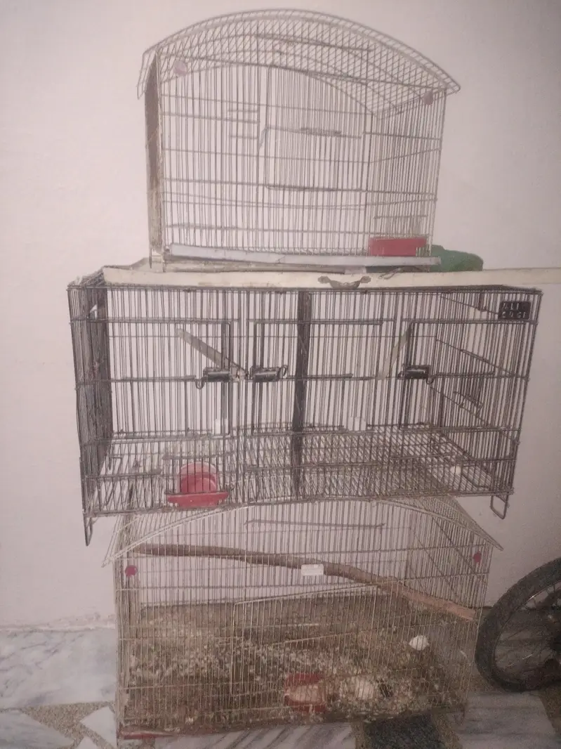 cages for sale — photo 4