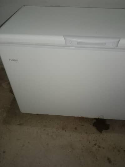 Haier Deep Freezer Double Door