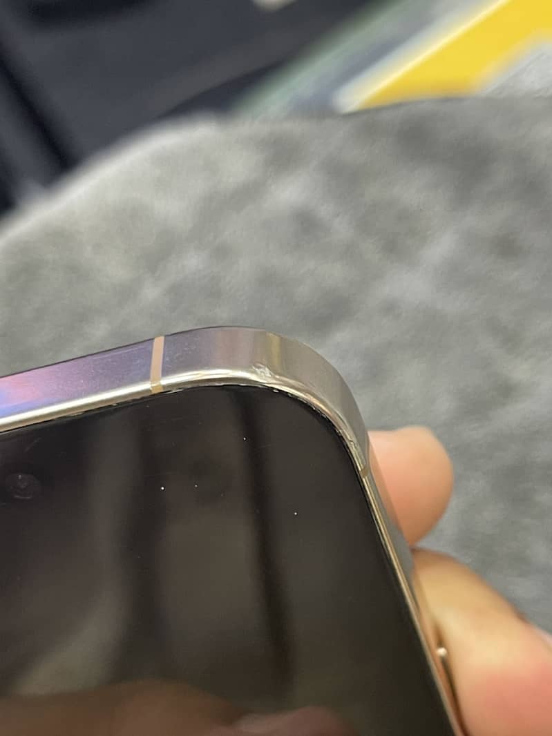 Apple iPhone 16 Pro Max 2