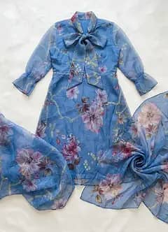 party wear organza long frock. condition 10/10