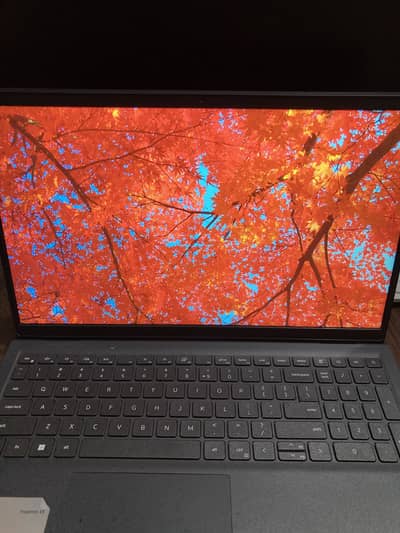 Dell Inspiron 15 3525 |Ryzen 7 processor for professional work