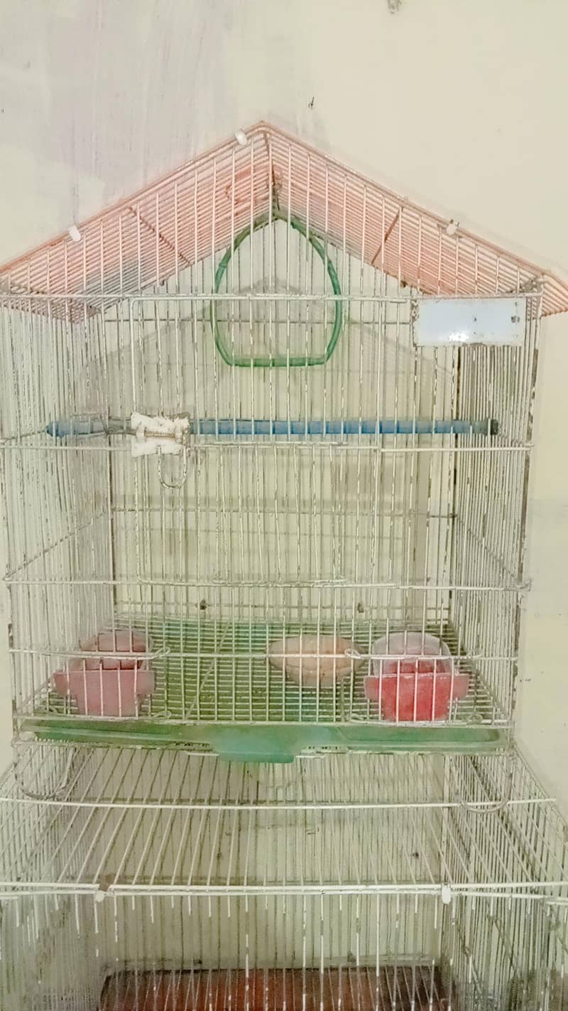 Fresh Condition 1