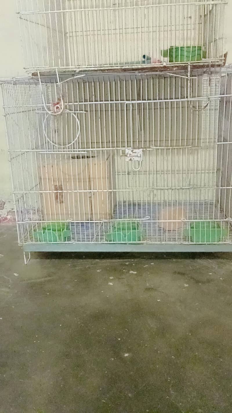 Fresh Condition 3