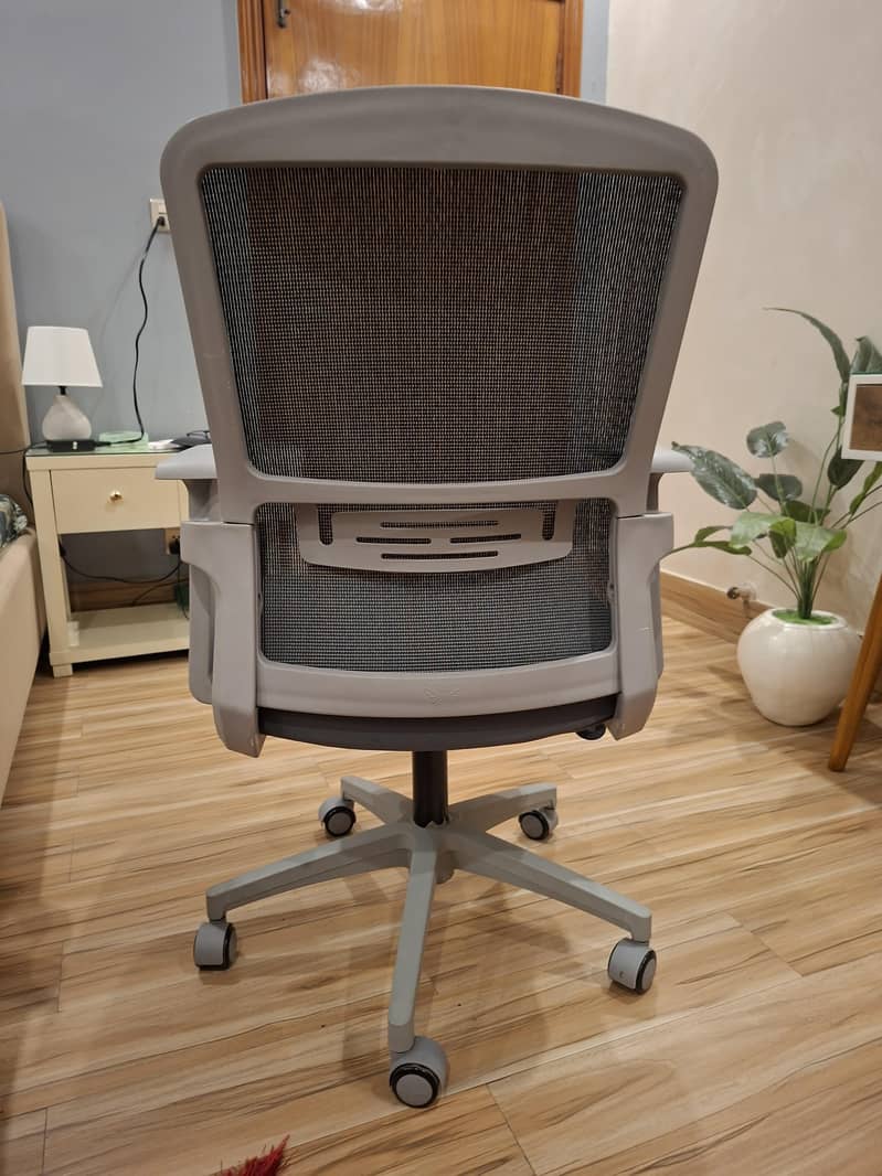 Computer / Office Chair 1