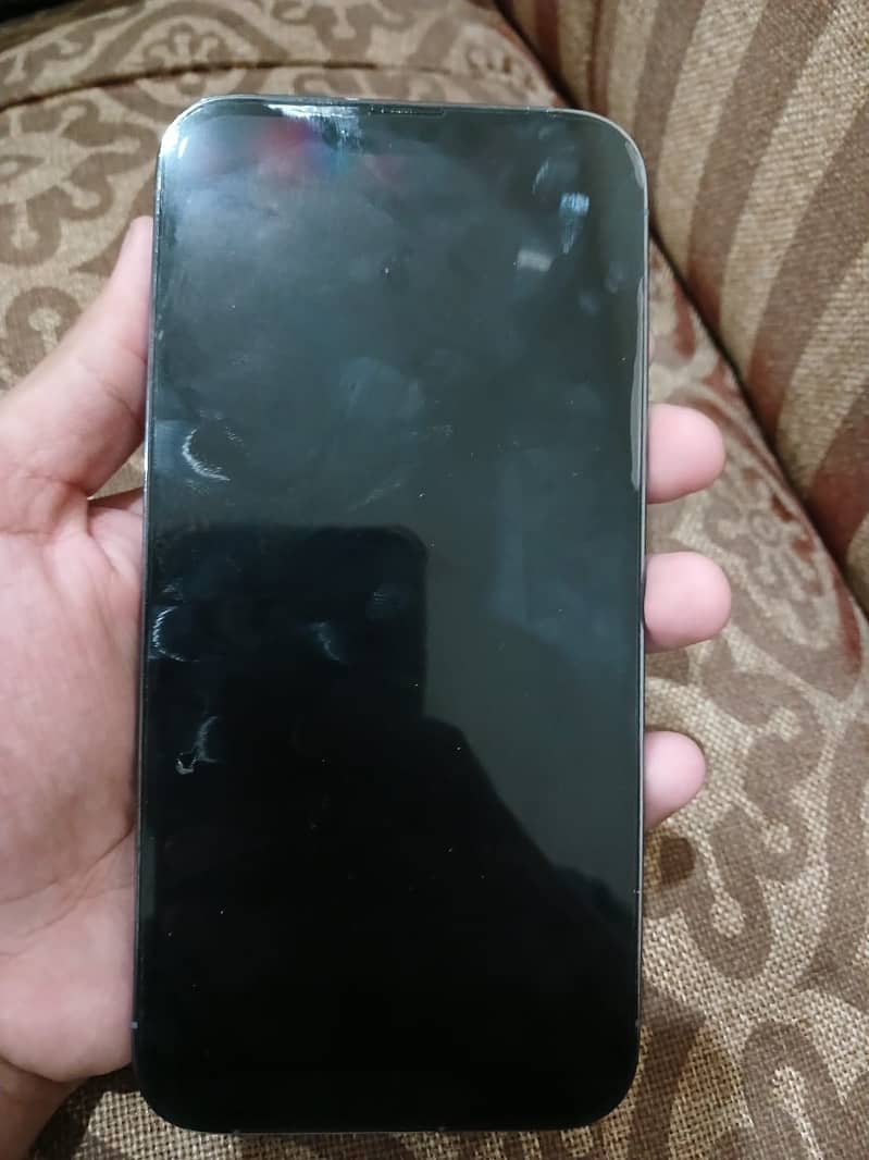 Apple iPhone 13 Pro Max 1