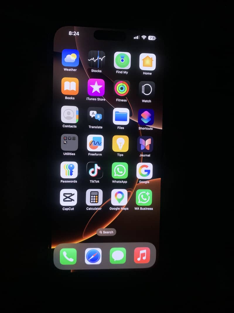 Apple iPhone 16 Pro Max 2