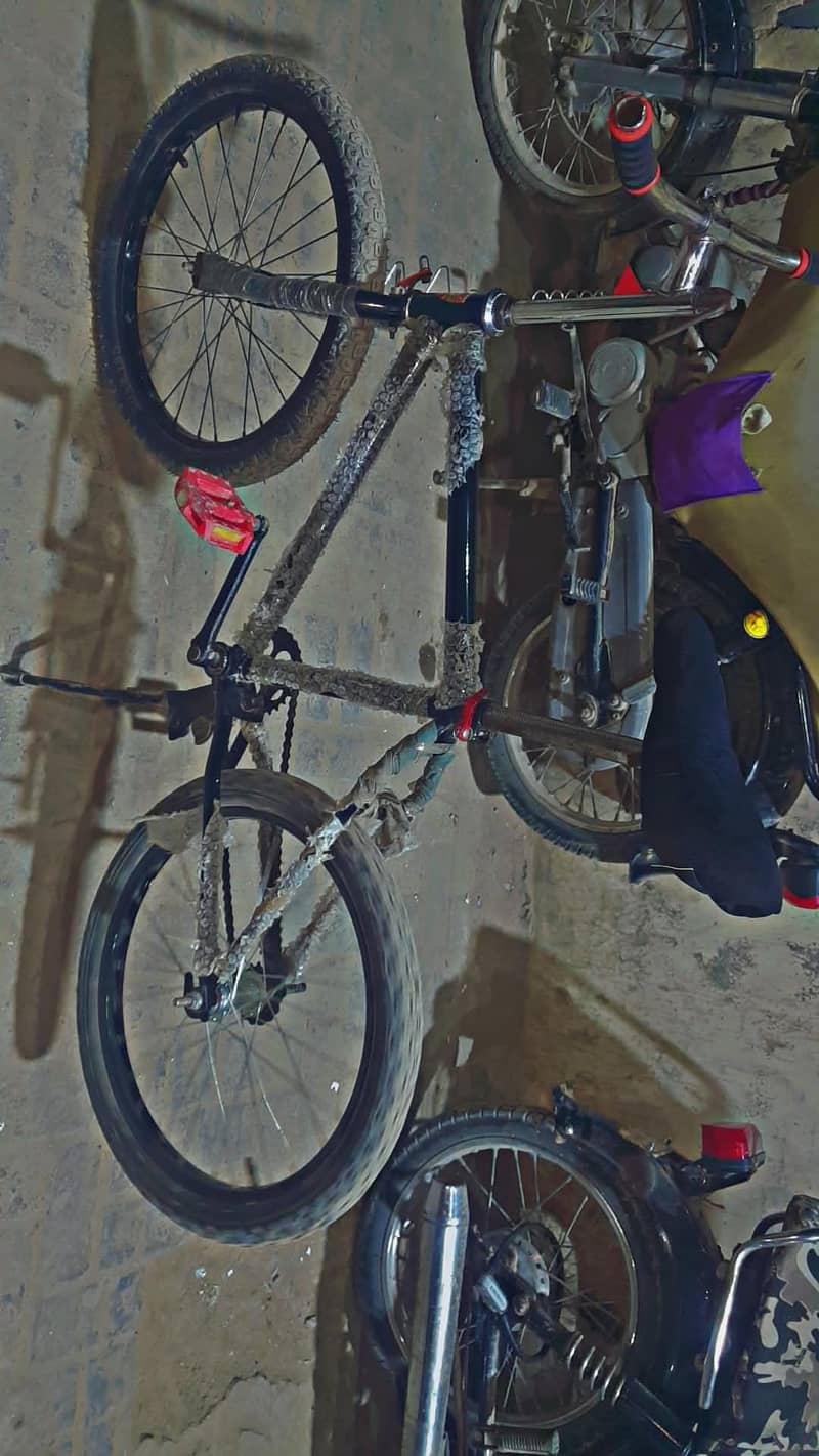 BLACK cycle 3