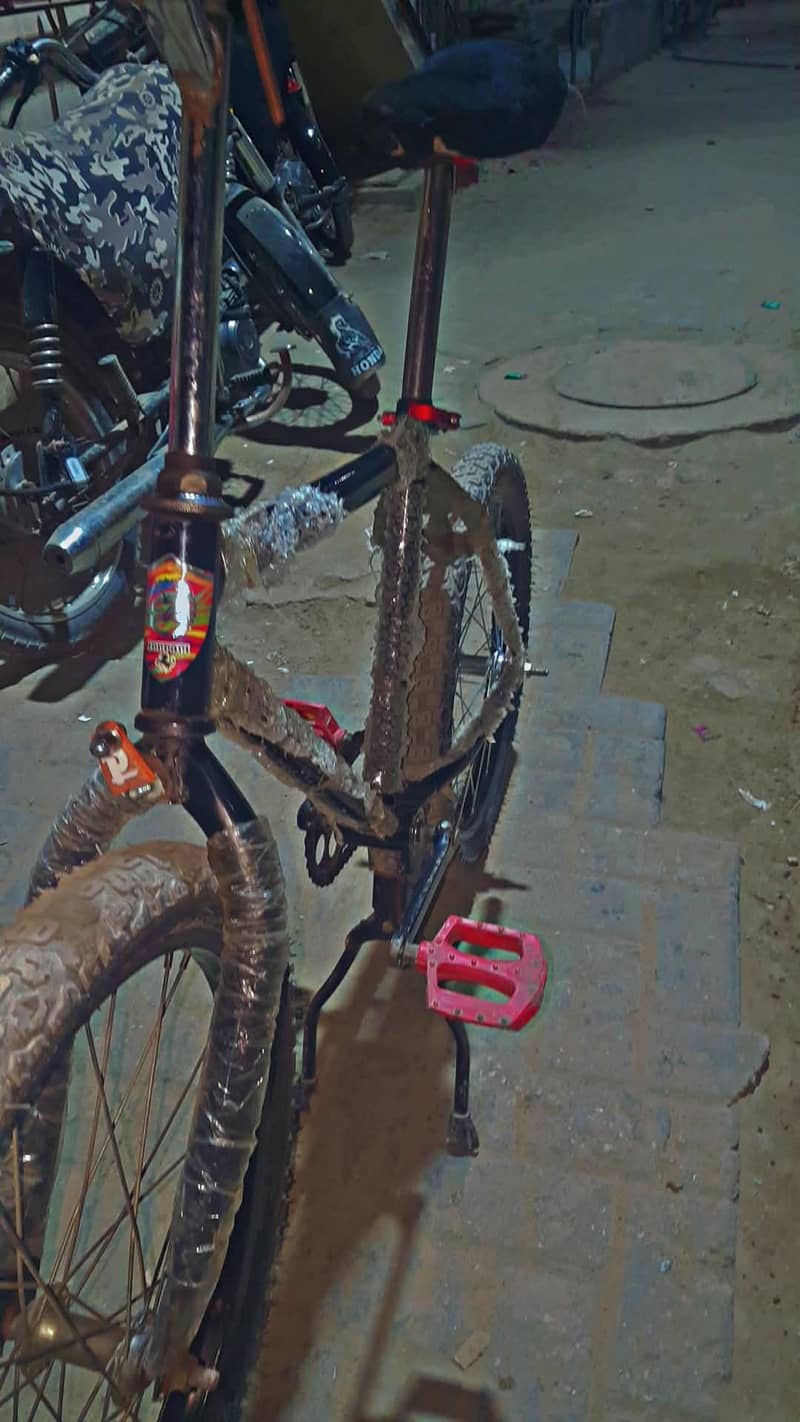 BLACK cycle 7