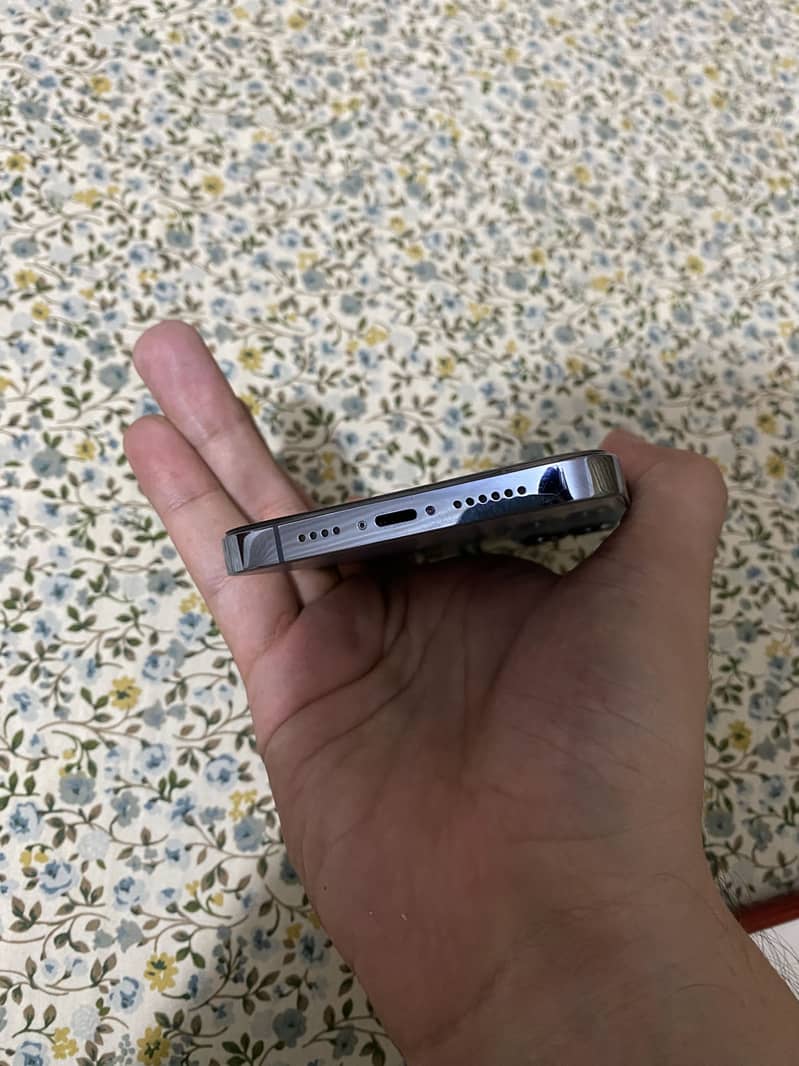 Apple iPhone 13 Pro Max 1