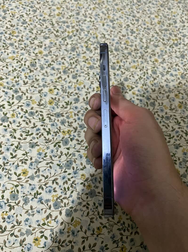 Apple iPhone 13 Pro Max 2