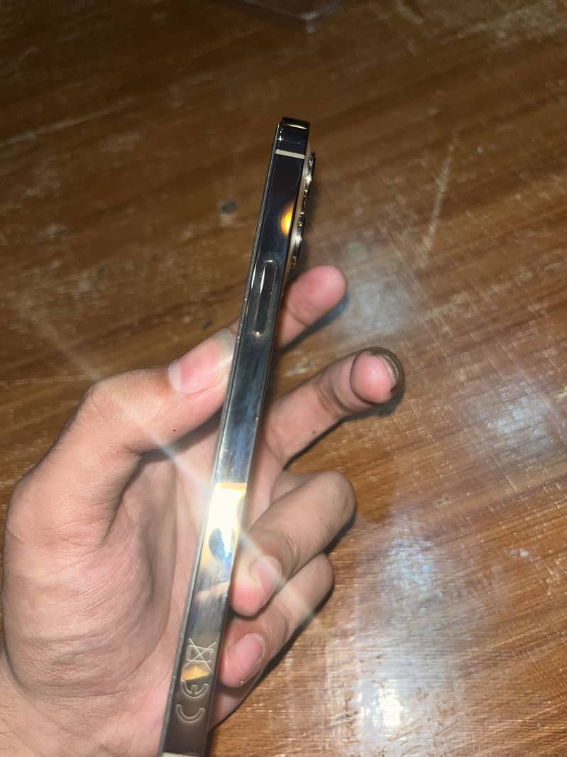 Apple iPhone 12 Pro Max 2