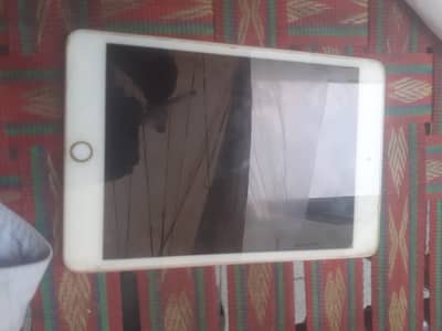 iPad Mini 5  Gaming & Daily Use