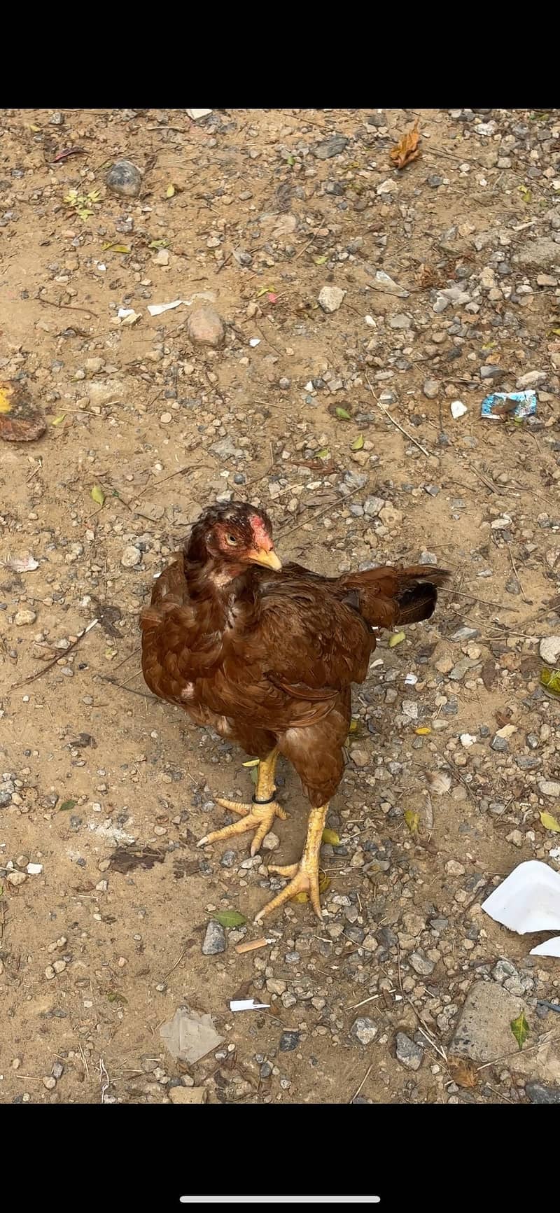 2 female 3