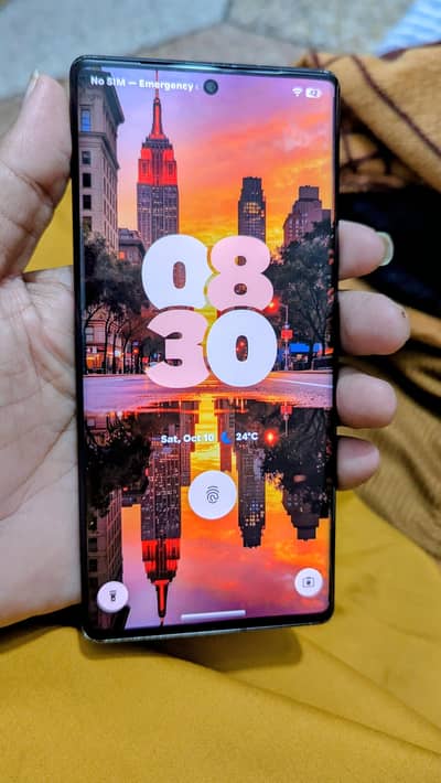 Google Pixel 6 Pro official approve