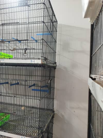 MASTER BIRD CAGE FOR SALE