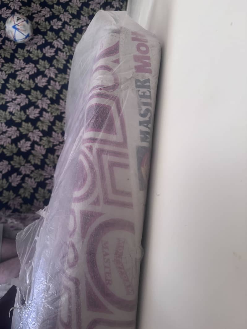 Master Moltyfoam 2
