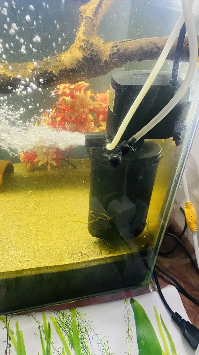 Complete Aquarium Setup for Sale – Ready to Use — photo 5