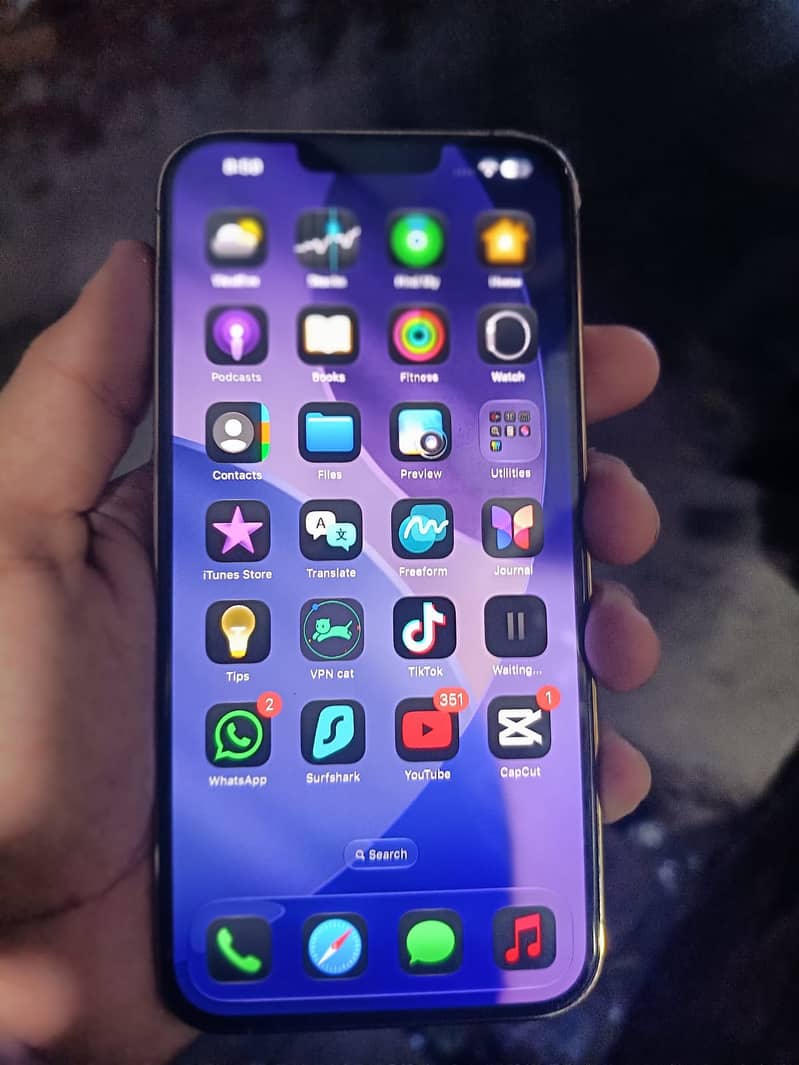 Apple iPhone 13 Pro Max 4