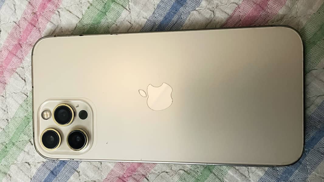 Apple iPhone 12 Pro Max 1