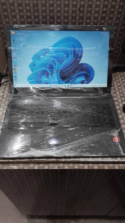 HP Ryzen laptop with 500 mb graphic card