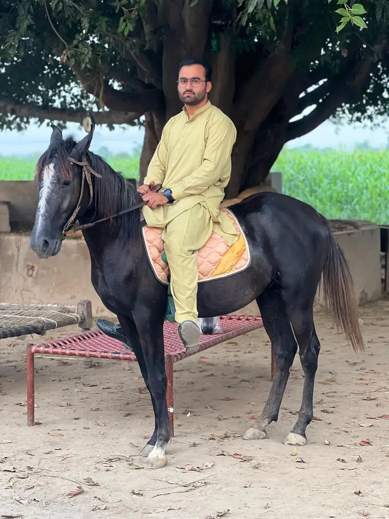 Mushka Saral Wachera Age 18 Month — photo 2
