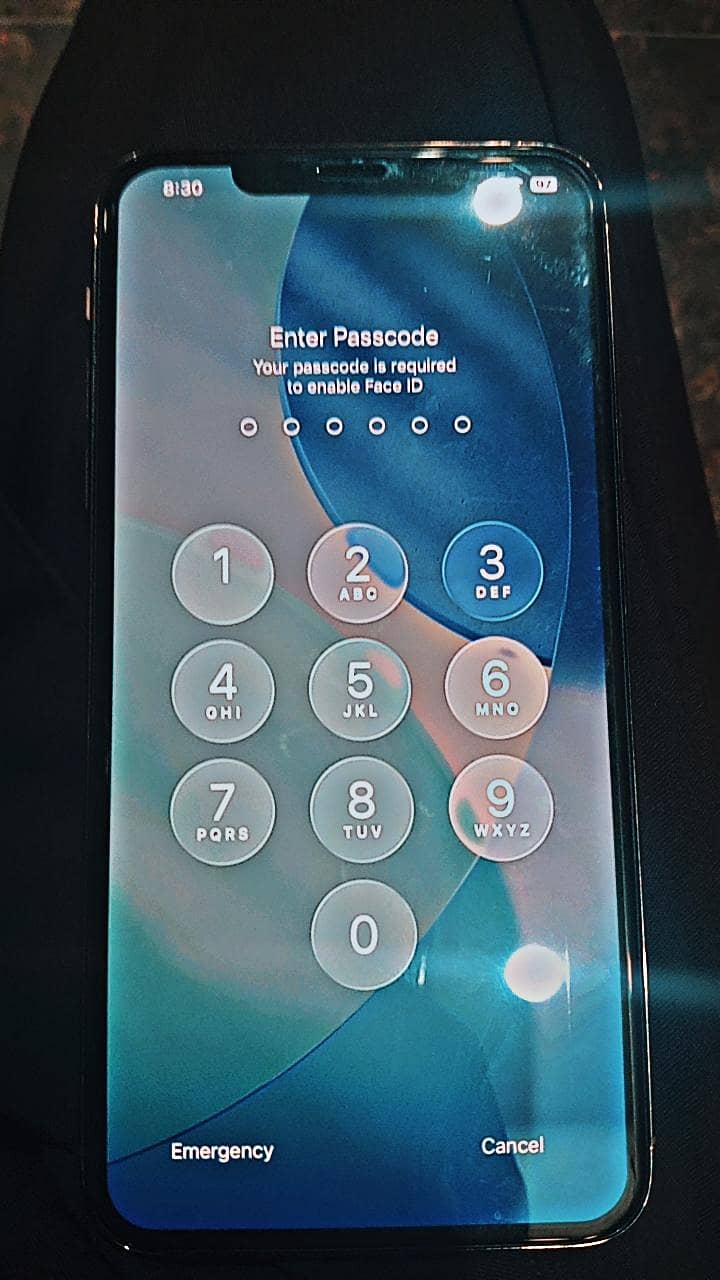 Apple iPhone 11 Pro Max 2