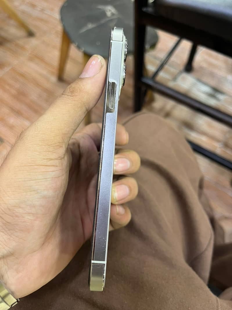 Apple iPhone 13 Pro Max 2