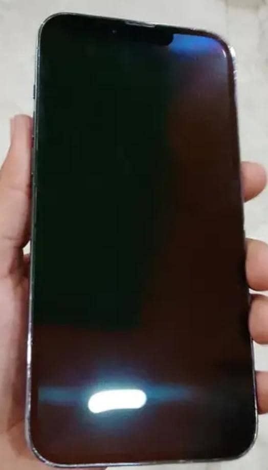 Apple iPhone 13 Pro Max 1