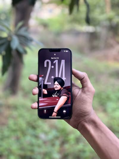 Apple iPhone 13 Pro Max