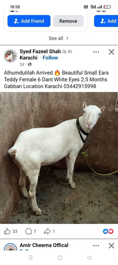 Teddy Gabban Bakri